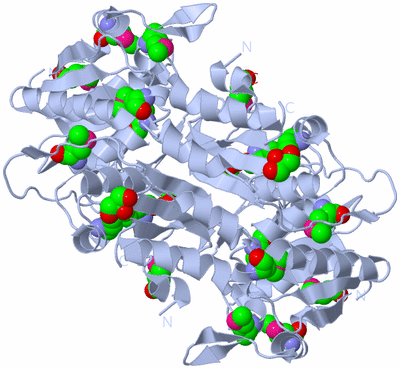 Image Biological Unit 1