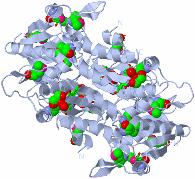 Image Biol. Unit 1 - sites