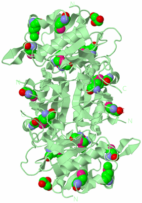 Image Biological Unit 2