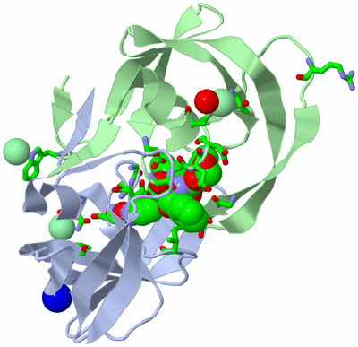 Image Asym./Biol. Unit - sites