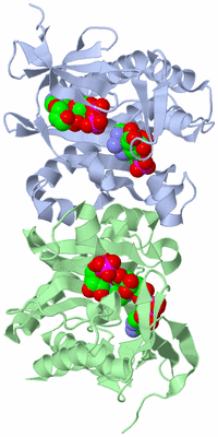 Image Asym./Biol. Unit