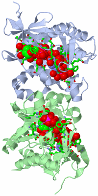 Image Asym./Biol. Unit - sites