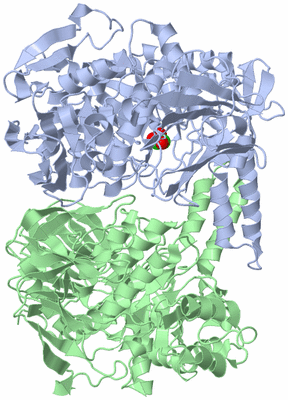 Image Asym./Biol. Unit