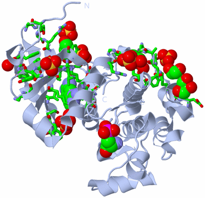 Image Biol. Unit 1 - sites