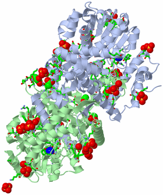 Image Asym./Biol. Unit - sites