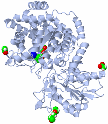 Image Biological Unit 1