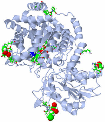 Image Biol. Unit 1 - sites