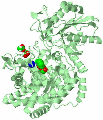 Image Biological Unit 2