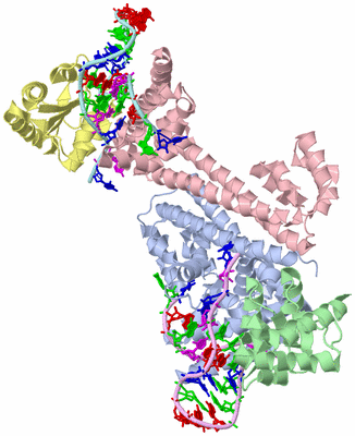 Image Biological Unit 1