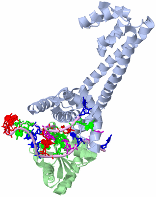 Image Biological Unit 2