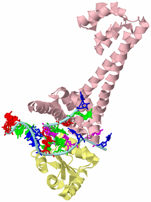 Image Biological Unit 3