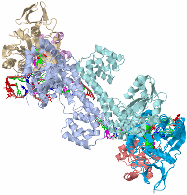 Image Asym./Biol. Unit