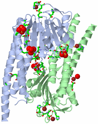 Image Biol. Unit 1 - sites