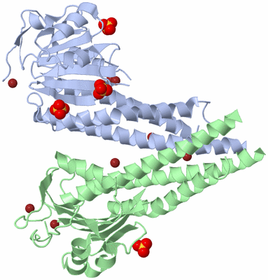 Image Biological Unit 2