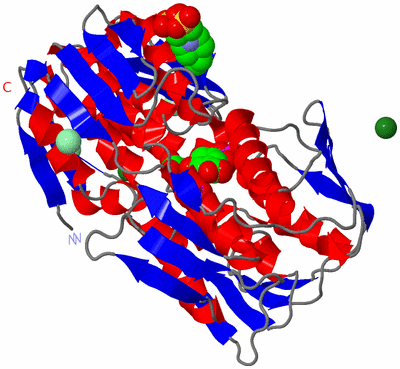 Image Asym./Biol. Unit