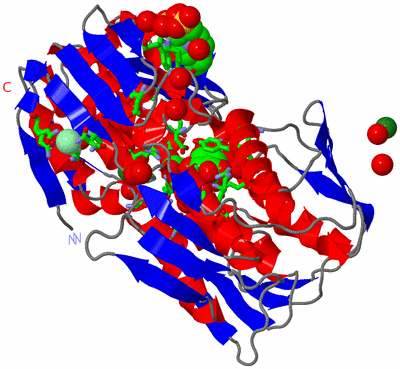 Image Asym./Biol. Unit - sites