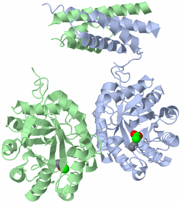 Image Asymmetric Unit