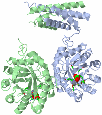 Image Asym. Unit - sites