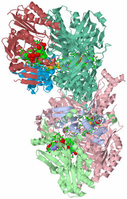 Image Asym./Biol. Unit - sites