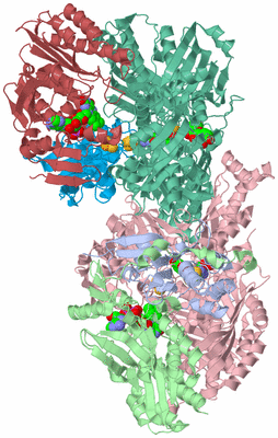 Image Asym./Biol. Unit