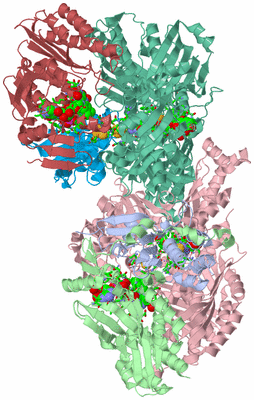 Image Asym./Biol. Unit - sites