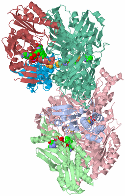 Image Asym./Biol. Unit