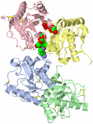 Image Asym./Biol. Unit