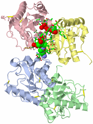 Image Asym./Biol. Unit - sites