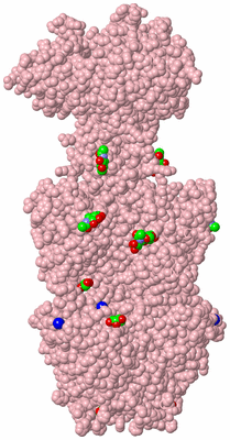 Image Biological Unit 3