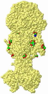 Image Biological Unit 4