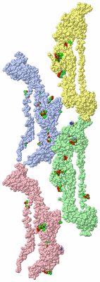 Image Asym. Unit - sites