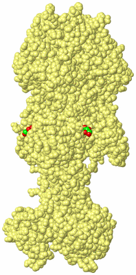 Image Biological Unit 4