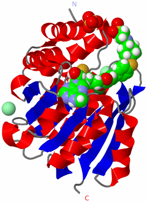 Image Asym./Biol. Unit