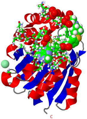 Image Asym./Biol. Unit - sites