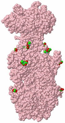 Image Biological Unit 3