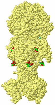 Image Biological Unit 4