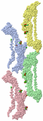 Image Asym. Unit - sites