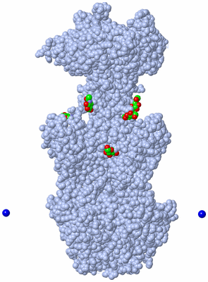 Image Biological Unit 1