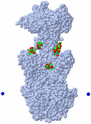 Image Biol. Unit 1 - sites