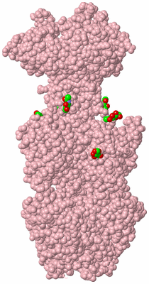 Image Biological Unit 3