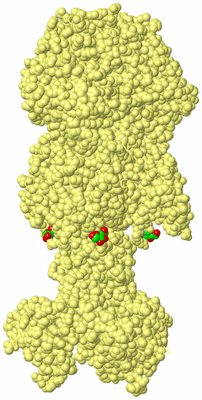 Image Biological Unit 4