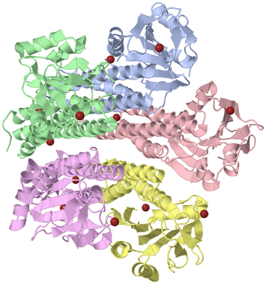 Image Asym./Biol. Unit