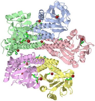 Image Asym./Biol. Unit - sites