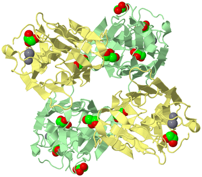 Image Biological Unit 2