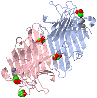 Image Biological Unit 3