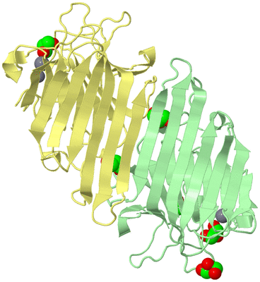 Image Biological Unit 4