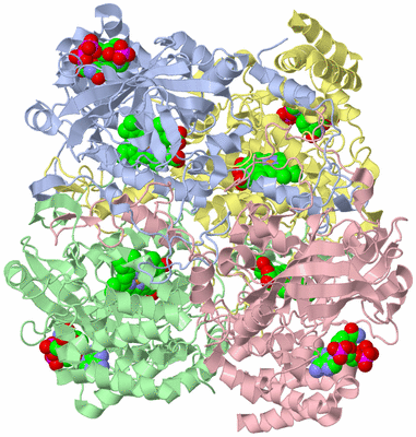 Image Asym./Biol. Unit