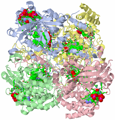 Image Asym./Biol. Unit - sites