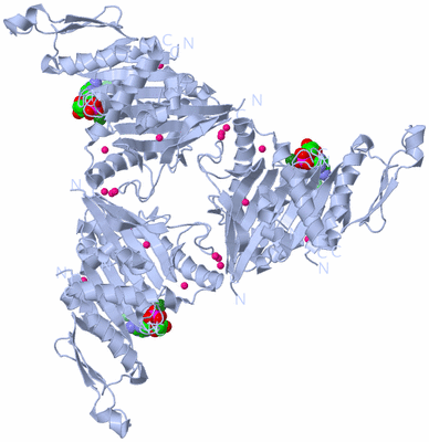 Image Biological Unit 1