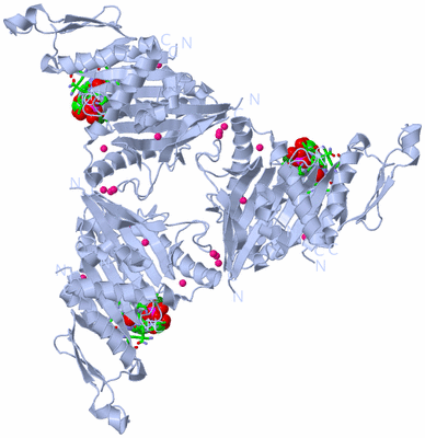 Image Biol. Unit 1 - sites